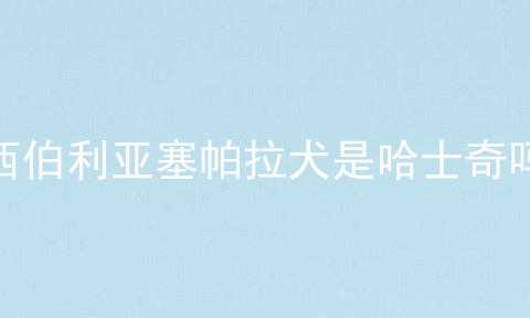 西伯利亚塞帕拉犬是哈士奇吗