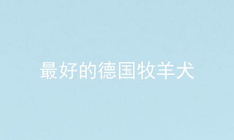最好的德国牧羊犬