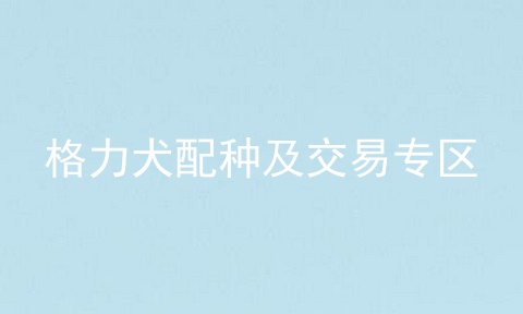 格力犬配种及交易专区