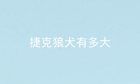 捷克狼犬有多大