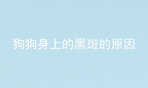 狗狗身上的黑斑的原因