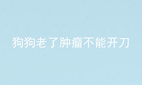 狗狗老了肿瘤不能开刀