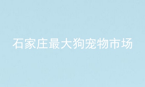 石家庄最大狗宠物市场