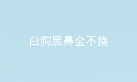 白狗黑鼻金不换