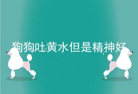 狗狗吐黄水但是精神好