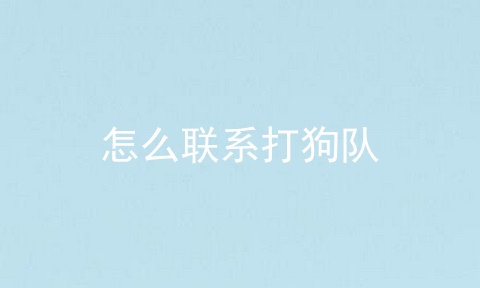 怎么联系打狗队