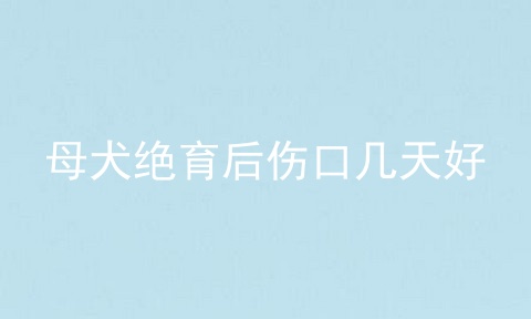 母犬绝育后伤口几天好