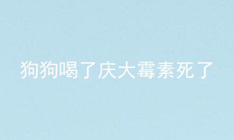 狗狗喝了庆大霉素死了