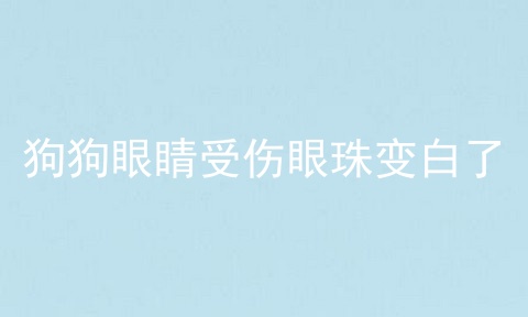 狗狗眼睛受伤眼珠变白了