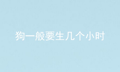 狗一般要生几个小时