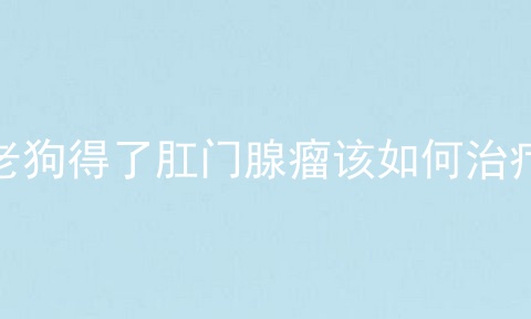 老狗得了肛门腺瘤该如何治疗