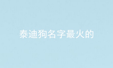 泰迪狗名字最火的