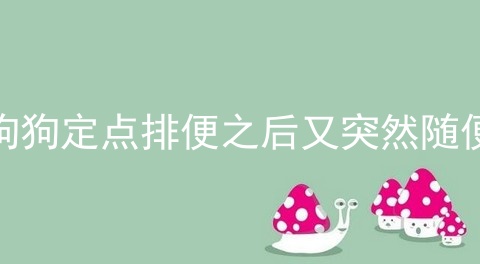 狗狗定点排便之后又突然随便