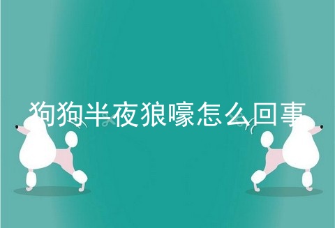 狗狗半夜狼嚎怎么回事