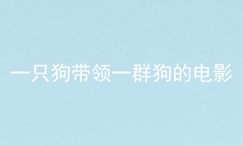 一只狗带领一群狗的电影