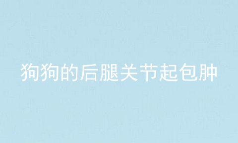 狗狗的后腿关节起包肿