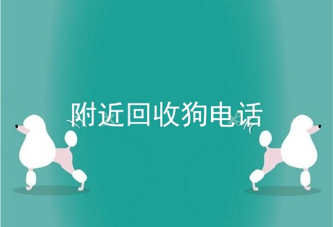 附近回收狗电话