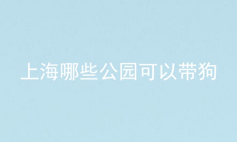 上海哪些公园可以带狗