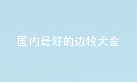 国内最好的边牧犬舍