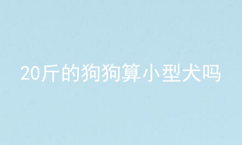 20斤的狗狗算小型犬吗