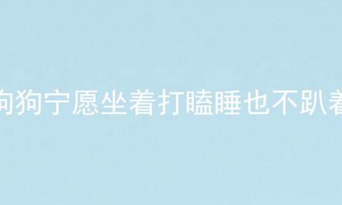 狗狗宁愿坐着打瞌睡也不趴着