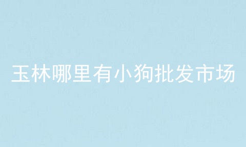 玉林哪里有小狗批发市场