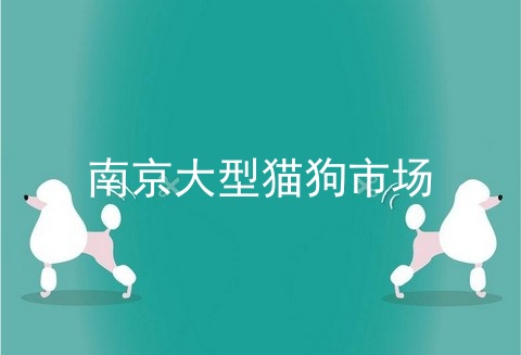 南京大型猫狗市场