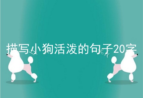描写小狗活泼的句子20字