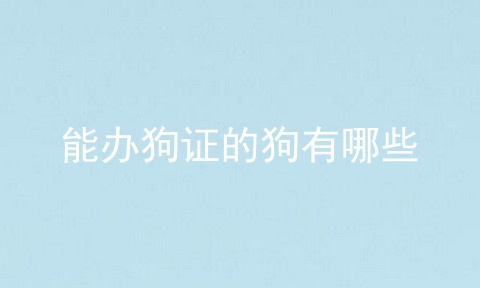 能办狗证的狗有哪些