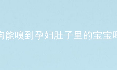 狗能嗅到孕妇肚子里的宝宝吗
