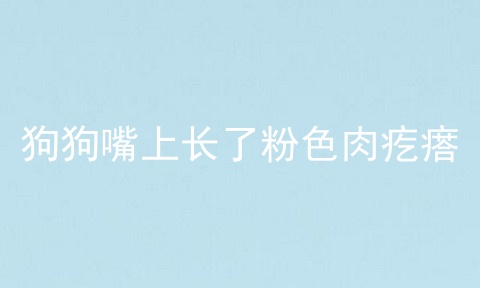 狗狗嘴上长了粉色肉疙瘩
