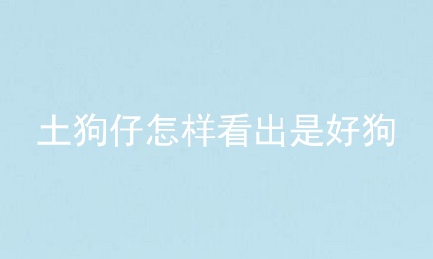 土狗仔怎样看出是好狗