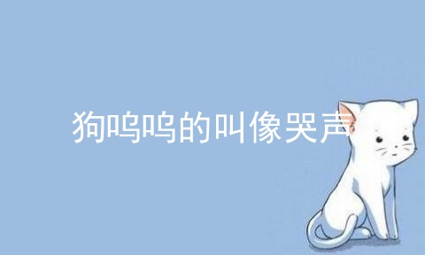 狗呜呜的叫像哭声