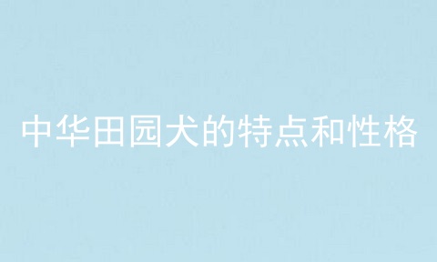 中华田园犬的特点和性格