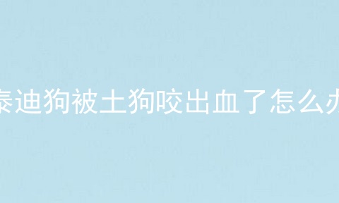 泰迪狗被土狗咬出血了怎么办
