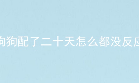 狗狗配了二十天怎么都没反应