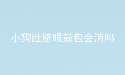 小狗肚脐眼鼓包会消吗