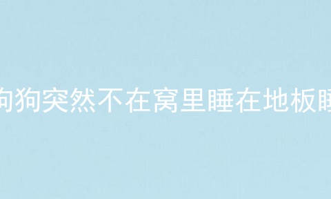 狗狗突然不在窝里睡在地板睡