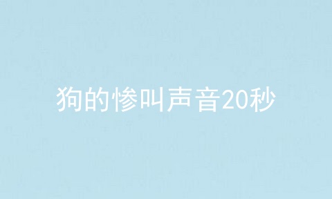 狗的惨叫声音20秒