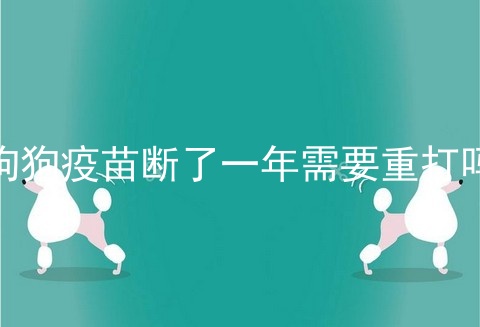 狗狗疫苗断了一年需要重打吗