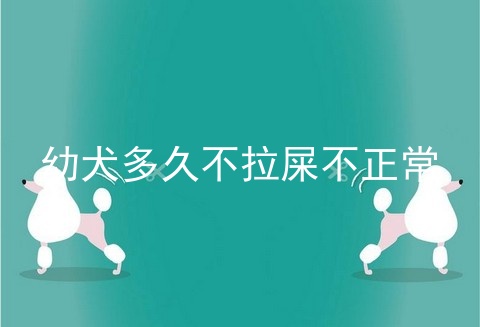 幼犬多久不拉屎不正常
