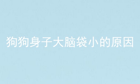 狗狗身子大脑袋小的原因