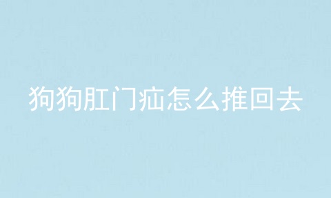 狗狗肛门疝怎么推回去