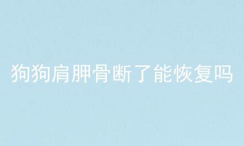 狗狗肩胛骨断了能恢复吗