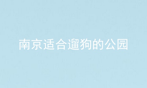 南京适合遛狗的公园