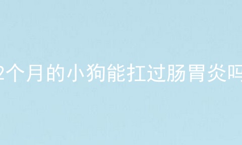 2个月的小狗能扛过肠胃炎吗