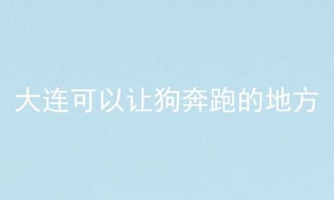 大连可以让狗奔跑的地方
