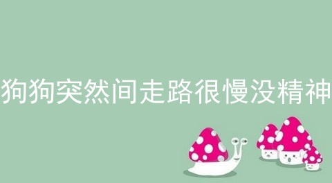 狗狗突然间走路很慢没精神