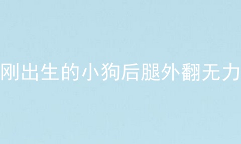 刚出生的小狗后腿外翻无力