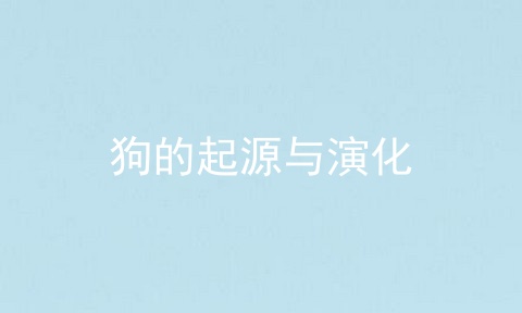 狗的起源与演化